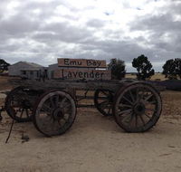 Emu Bay Lavender - Accommodation Directory