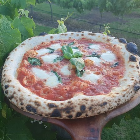 Harborganics Woodfired Pizza - Accommodation Directory 0