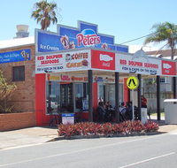 Red Dolphin Seafoods - Accommodation Directory