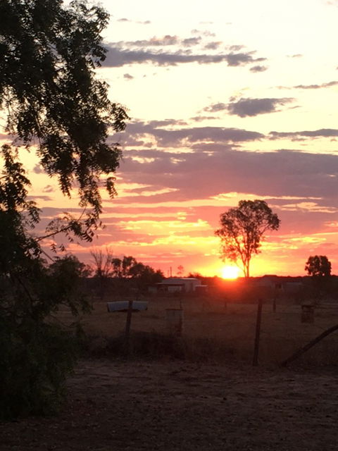 Roses 'n Things Van Park - Accommodation Directory 3