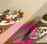Baskin Robbins Toowoomba - Accommodation Directory