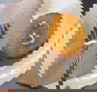 New Leaf Cafe Murwillumbah - Accommodation Directory