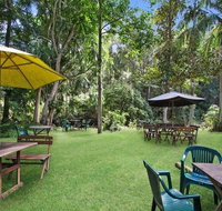 Rainforest - Accommodation Directory