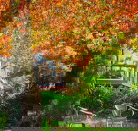 The Woods Ravensbourne - Accommodation Directory