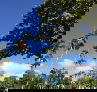 Whileaway Bookshop  Cafe - Accommodation Directory