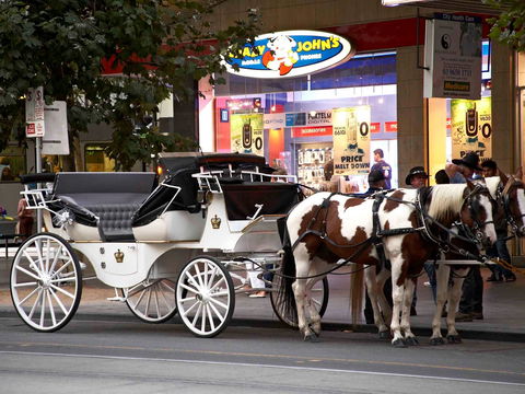 Mercure Melbourne Therry St - Accommodation Directory 16