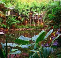 Daintree Eco Lodge  Spa - Accommodation Directory