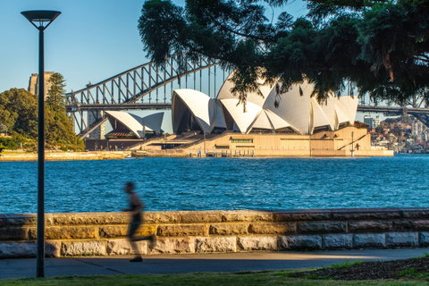 Holiday Inn Potts Point - Accommodation Directory 15