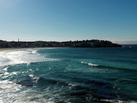 QT Bondi - Accommodation Directory 13