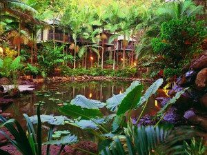 Daintree Eco Lodge & Spa - Accommodation Directory 0