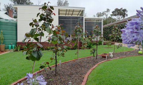 Grassmere House Magill - Accommodation Directory 19