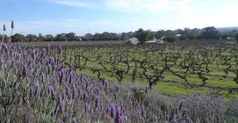 Grassmere House Magill - Accommodation Directory 25