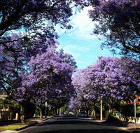 Monaco Court Apartment Adelaide - Accommodation Directory