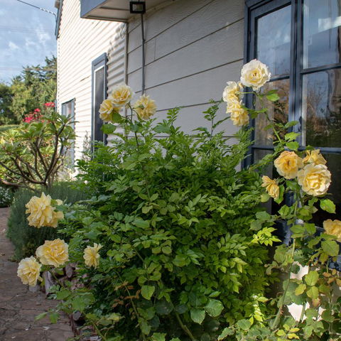 Haven Cottage Kangaroo Island - Accommodation Directory 1