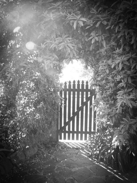 Haven Cottage Kangaroo Island - Accommodation Directory 33