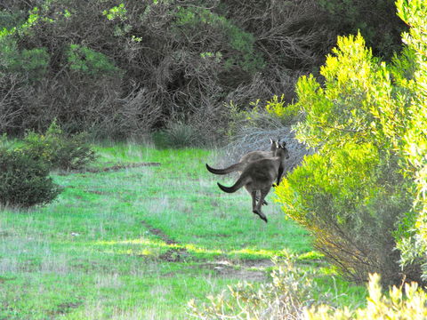 A Dune Escape - Accommodation Directory 25