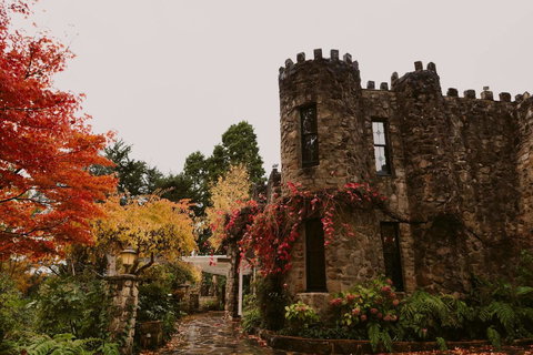 The Manor Basket Range - Accommodation Directory 15