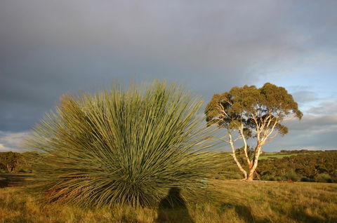 Ecopia Retreat - Accommodation Directory 23