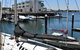 Breakwater Apartment - thumb 6