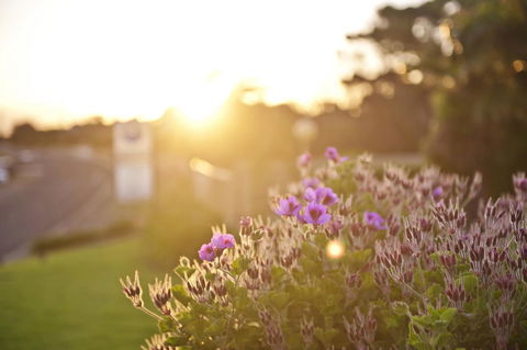 Kangaroo Island Seaside Inn - Accommodation Directory 33