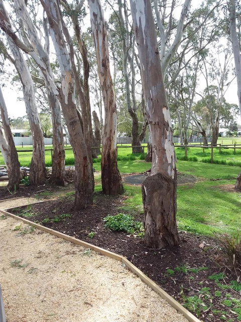 Cloisters Of Kalangadoo - Accommodation Directory 6