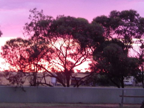 Wudinna Gawler Ranges Motel And Caravan Park - Accommodation Directory 11