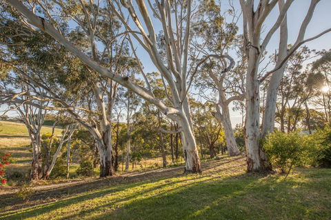 Discovery Parks - Hahndorf - Accommodation Directory 4