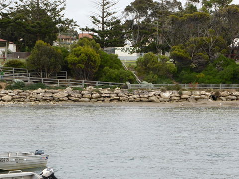 Island Motel Kingscote - Accommodation Directory 4