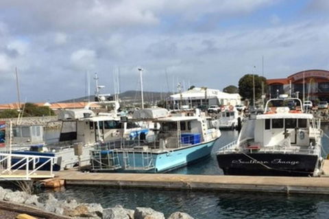 Port Lincoln Shark Apartment 2 - Accommodation Directory 17