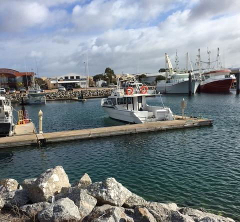 Port Lincoln Shark Apartment 3 - Accommodation Directory 1