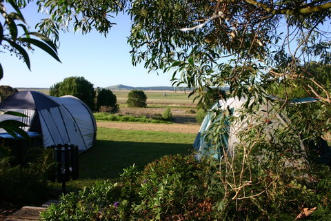 Millicent Hillview Caravan Park - Accommodation Directory 43