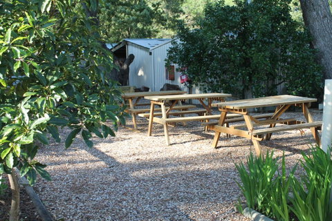 Millicent Hillview Caravan Park - Accommodation Directory 9