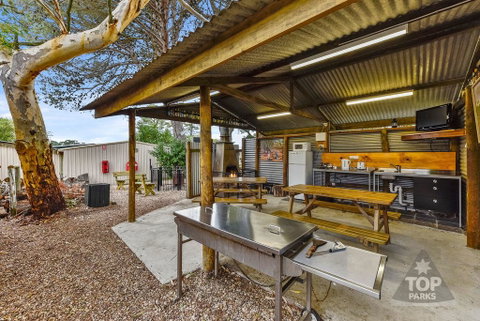 Millicent Hillview Caravan Park - Accommodation Directory 20
