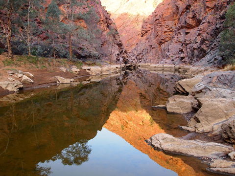 Arkaroola Wilderness Sanctuary - Accommodation Directory 6