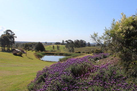 Beltana Villas - Accommodation Directory 7