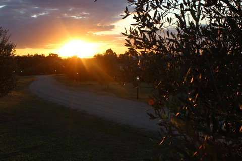 Beltana Villas - Accommodation Directory 26
