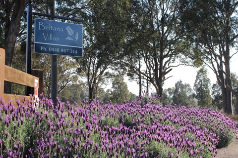 Beltana Villas - Accommodation Directory 10