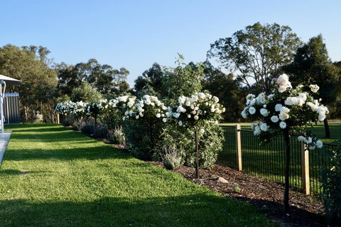 Beltana Villas - Accommodation Directory 2
