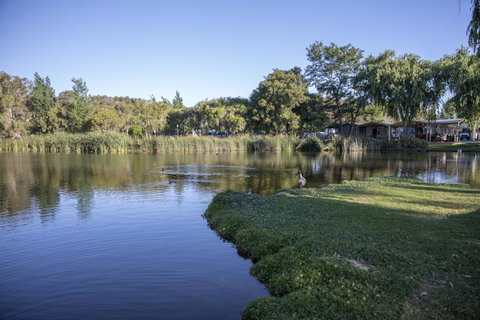 Karrinyup Waters Resort - Accommodation Directory 15