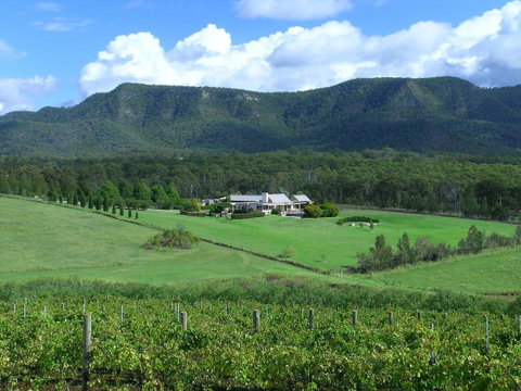 Grapevines Boutique Accommodation - Accommodation Directory 23