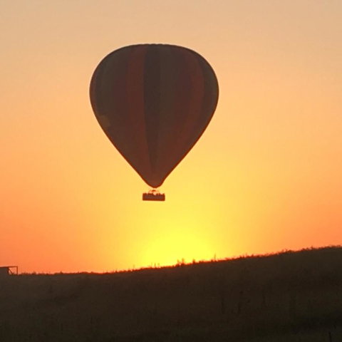 Grapevines Boutique Accommodation - Accommodation Directory 13