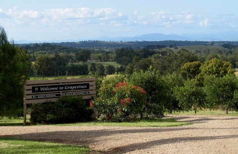 Grapevines Boutique Accommodation - Accommodation Directory 15