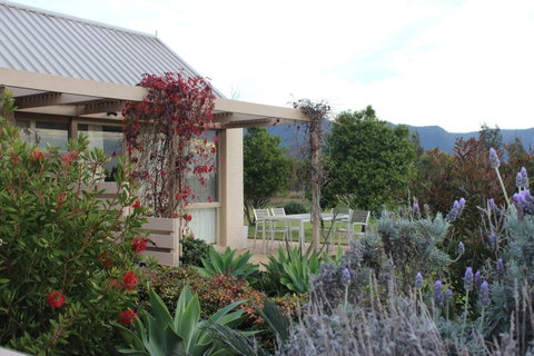 Grapevines Boutique Accommodation - Accommodation Directory 28