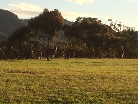 Grapevines Boutique Accommodation - Accommodation Directory 26