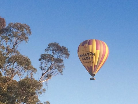 Grapevines Boutique Accommodation - Accommodation Directory 12