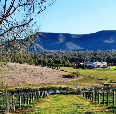Grapevines Boutique Accommodation - Accommodation Directory 5