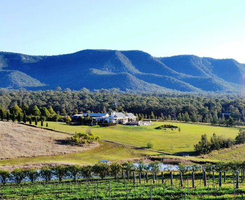 Grapevines Boutique Accommodation - Accommodation Directory 0