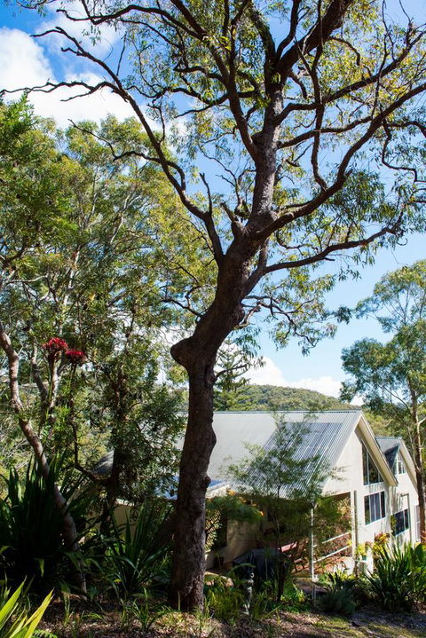 Nelson Bay Bed & Breakfast - Accommodation Directory 42