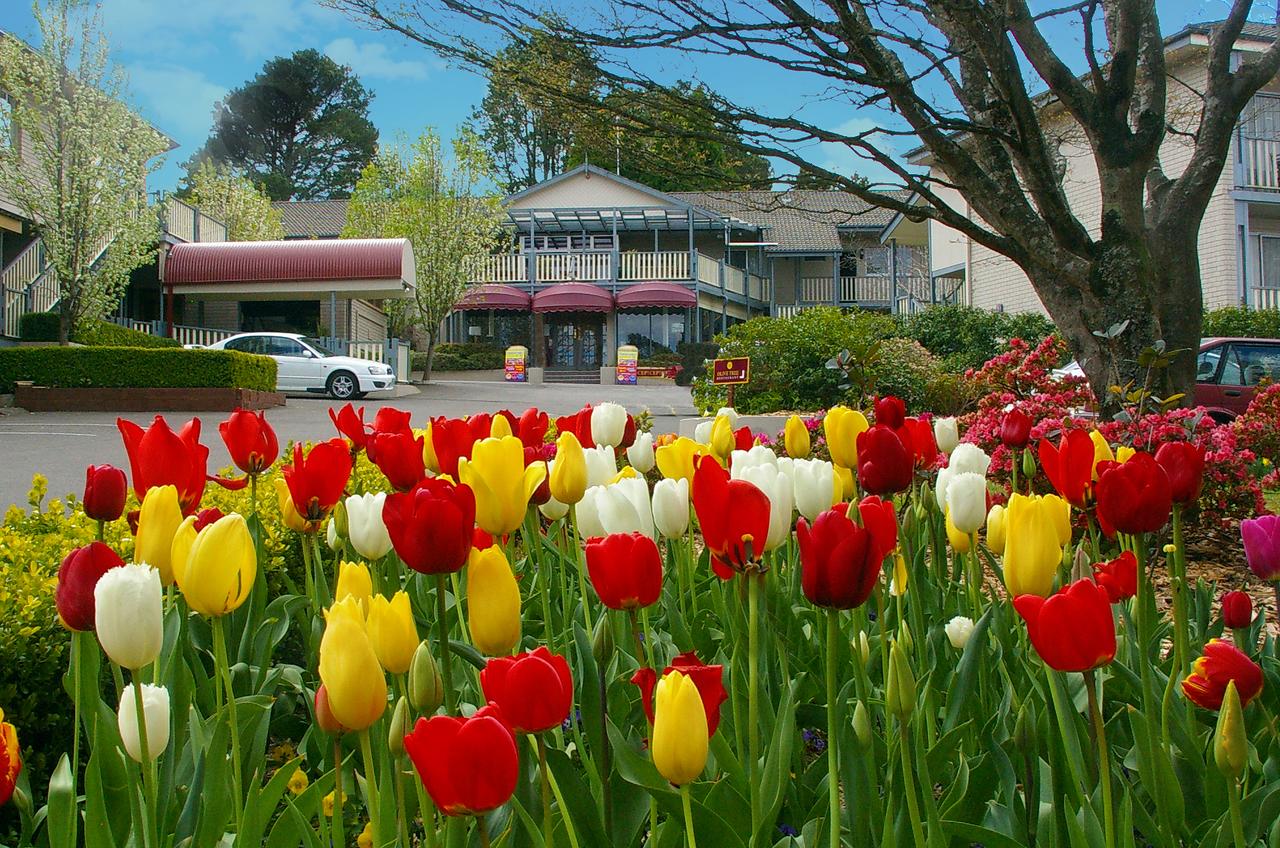 Leura NSW Accommodation Directory