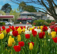 Nesuto Leura Gardens formerly Waldorf Leura Gardens Resort - Accommodation Directory
